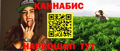 крисы Апшеронск