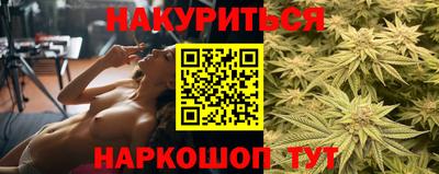 крисы Апшеронск