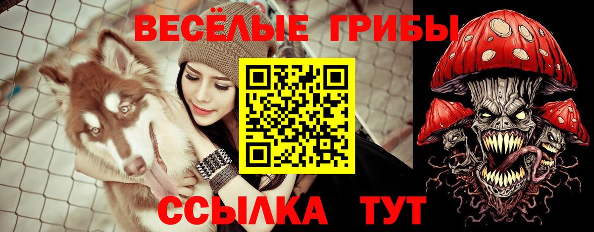 Всеволожск  Псилоцибиновые грибы Psilocybe  закладка  Галлюциногенные грибы прущие грибы  Вход с VPN 